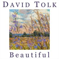 David Tolk - Beautiful