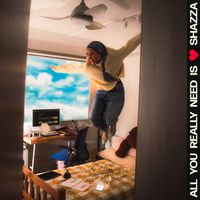 shazza - All You Really Need (Is Love)