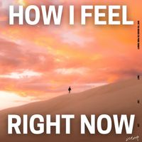 Weaver - How I Feel Right Now (Explicit)