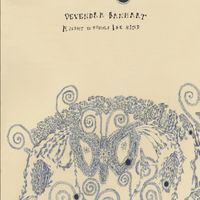 Devendra Banhart - A Sight to Behold
