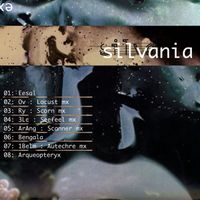 Silvania - Delay Tambor