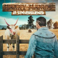 Manny Manuel - La Sinvergüenza