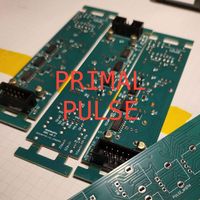 jigsaw - Primal Pulse