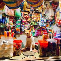 TEZ - Gloria Runs the Shop