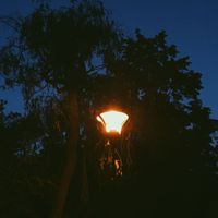inownlove - Feel Blue