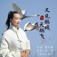张萍 - 又见鹅城天鹅飞