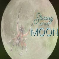 Rob Wilson - Staring at the Moon (feat. Liam Saunders)