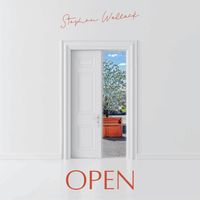 Stephen Wallack - Open