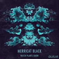 Merricat Black - Watch Plants Grow