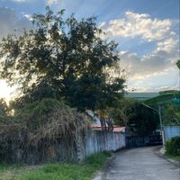 BH - Framed by Reality (Explicit)