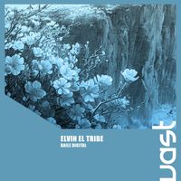 elvin el tribe - Baile Digital