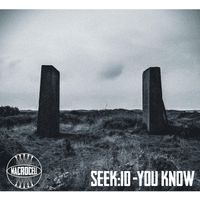 seek:id - You Know