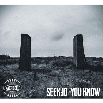 seek:id - You Know