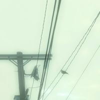 No Signal - Empty
