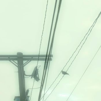 No Signal - Empty