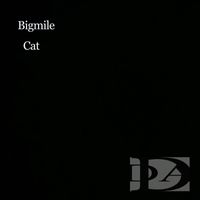 Bigmile - Cat