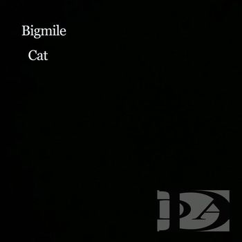 Bigmile - Cat