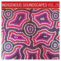 David Hudson - Indigenous Soundscapes, Vol. 25