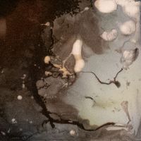 Moonlet - Starry Eyes