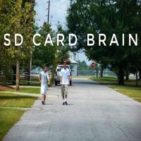 Fat Fabric - SD Card Brain