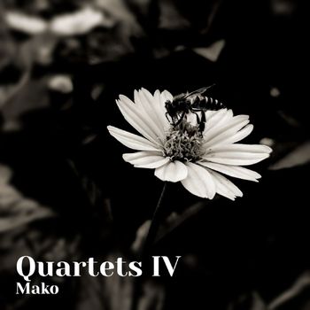 Mako - Quartets IV