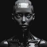 Anker - Potential