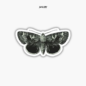 MURI - Nuclear