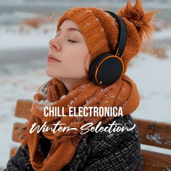 Various Artists - Chill Electronica Winter Selection