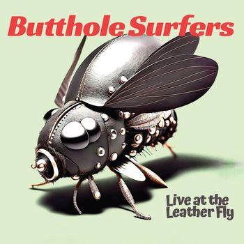Butthole Surfers - Live at the Leather Fly (Explicit)