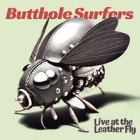 Butthole Surfers - Human Cannonball (Live [Explicit])