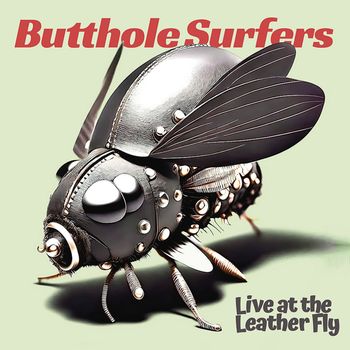 Butthole Surfers - You Don't Know Me (Live [Explicit])