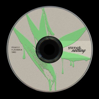 Pegassi - Flashback (Radio Edit)