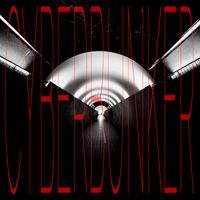 Skov Bowden - Cyberbunker