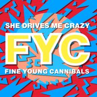 Fine Young Cannibals - She Drives Me Crazy