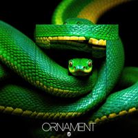 BCDJ - Ornament