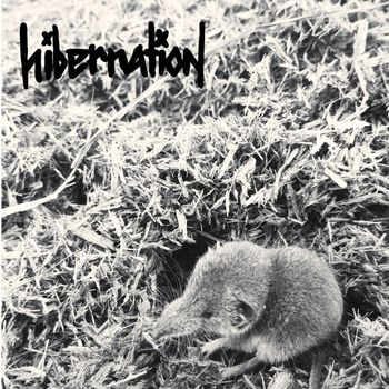 hibernation - Krach
