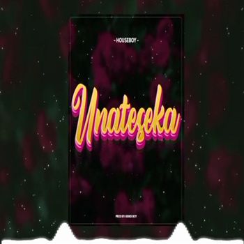 Houseboy - Unateseka