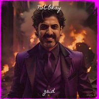 zaid - Not Okay