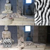 Yari - Lucius
