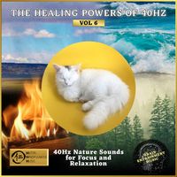 Yuval Ron - The Healing Powers of 40Hz Vol 6: 40Hz Nature Sounds for Focus and Relaxation