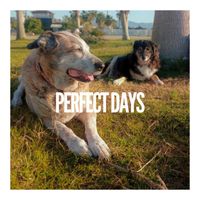 Broken Lip - Perfect Days