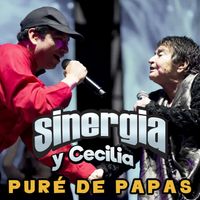 Sinergia - Puré de Papas