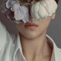 Neon - TODAY TONIGHT