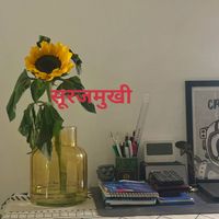 Chandler - Surajmukhi