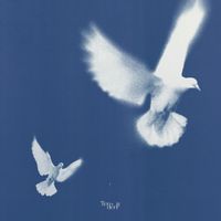 LEO - Tenderly