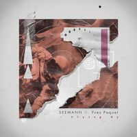Seemann - Flying By