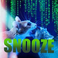 SNOOZE - cat fight