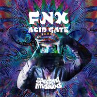 FNX - Acid Gate