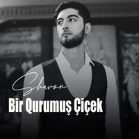 Sharon - Bir Qurumuş Çiçek