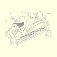 AKM - Nativo